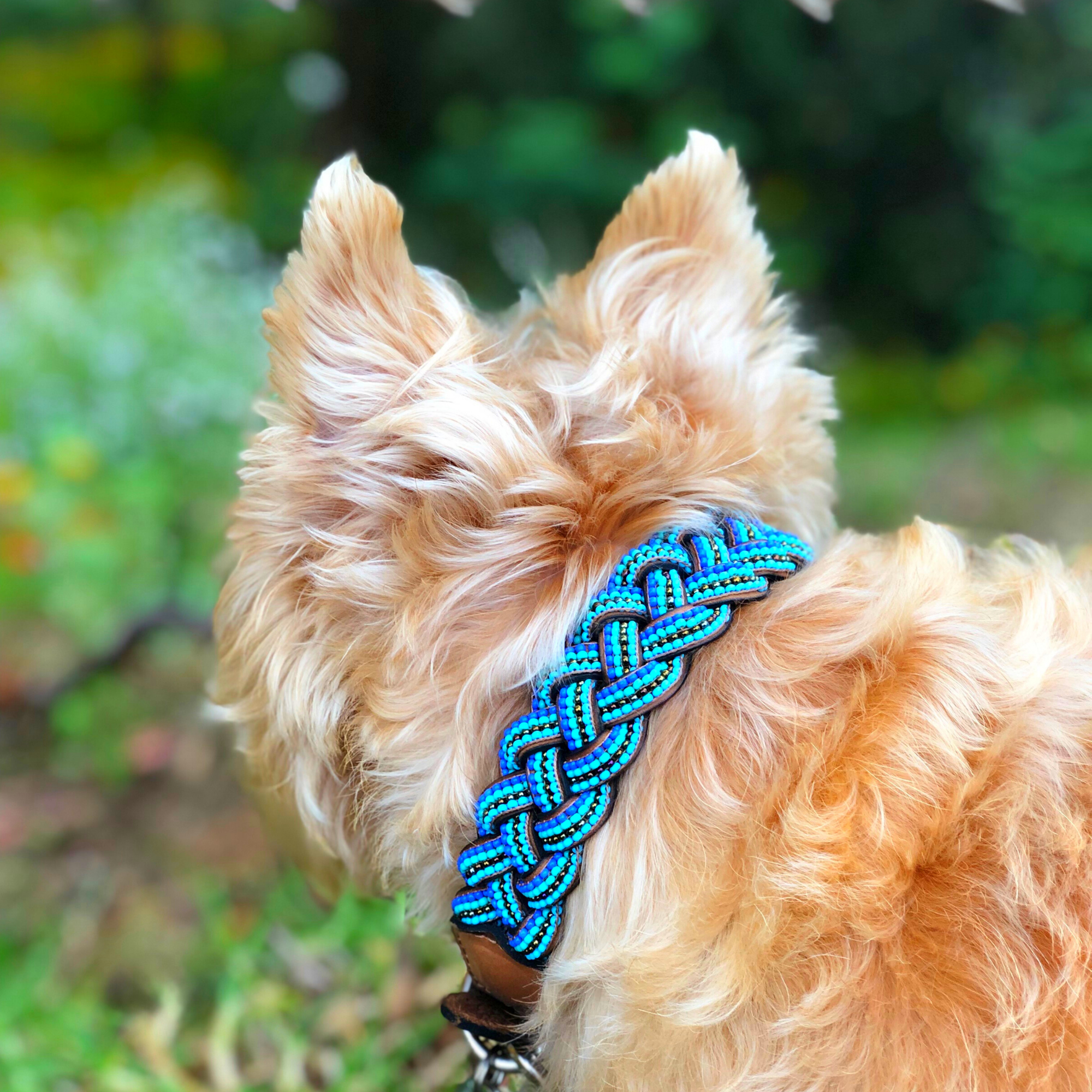 Blue Braided Sambboho dog collar by Sambboho