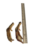 Dehydrated Duck Feet by Jack's Premium