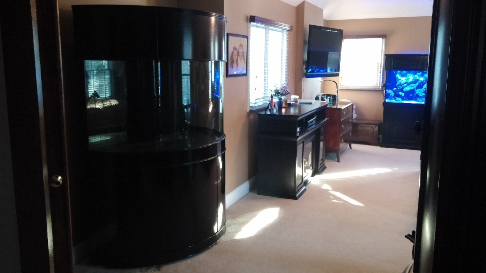 180 Gallon Half Cylinder Glass Reef-Ready Aquarium Set in Abyss Black by AQUA VIM