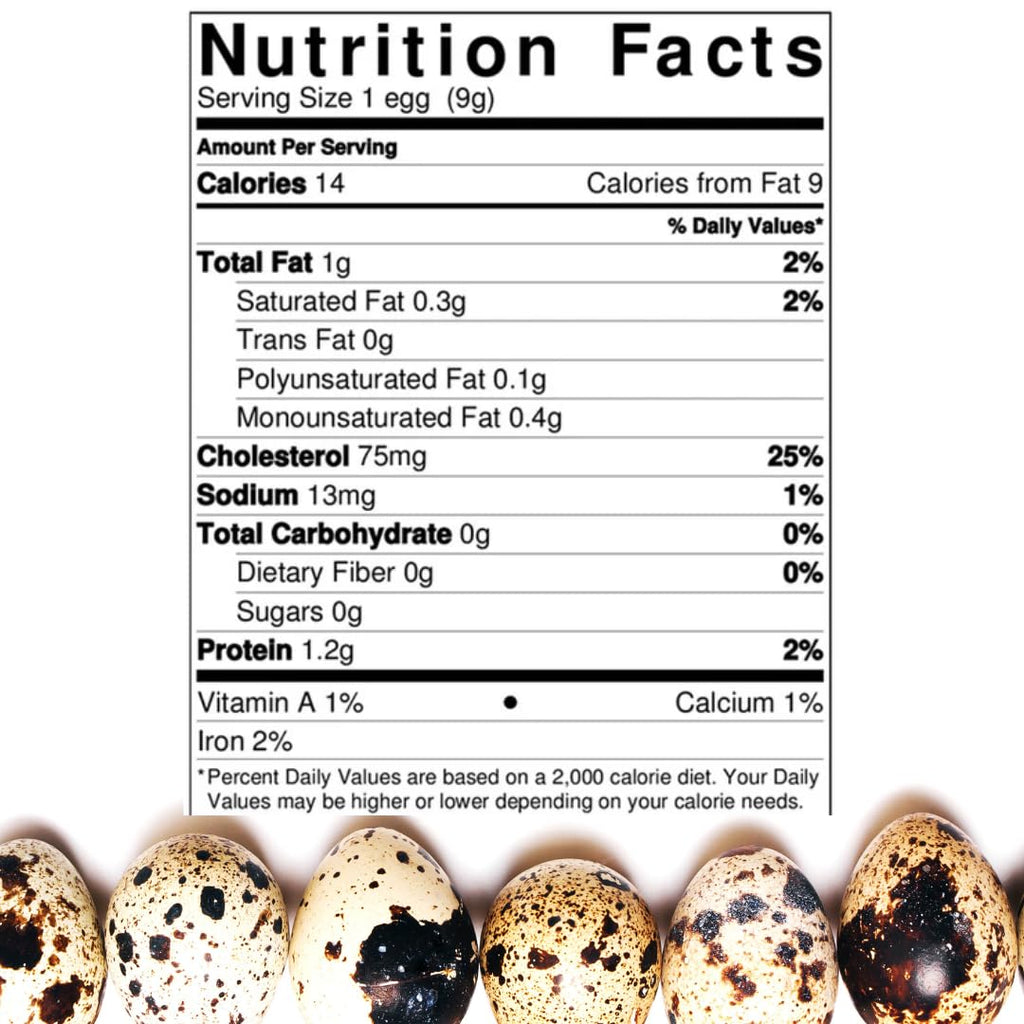 36 Quail Eggs for Hatching - Fertile Coturnix Selection Hens Choice, AI & NPIP Certified, Sustainably Sourced from Family-Run Farms, Farm Fresh Delivery with Minimal Breakage by Quailz.com by Undique LLC