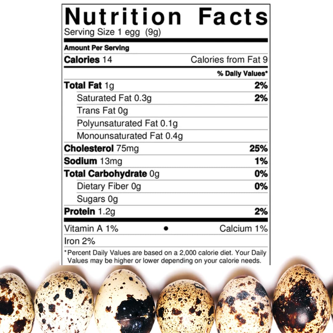 36 Quail Eggs for Hatching - Fertile Coturnix Selection Hens Choice, AI & NPIP Certified, Sustainably Sourced from Family-Run Farms, Farm Fresh Delivery with Minimal Breakage by Quailz.com by Undique LLC