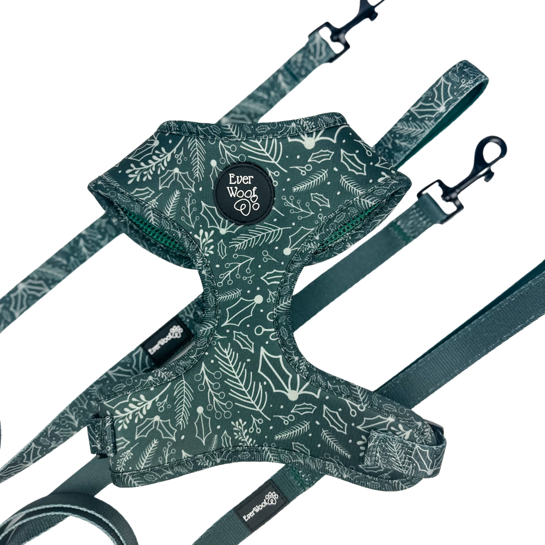 Evergreen Dream Leashes by EverWoof