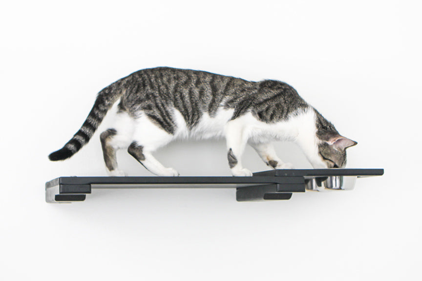 Wall Mounted Cat Feeding Shelf by Catastrophic Creations