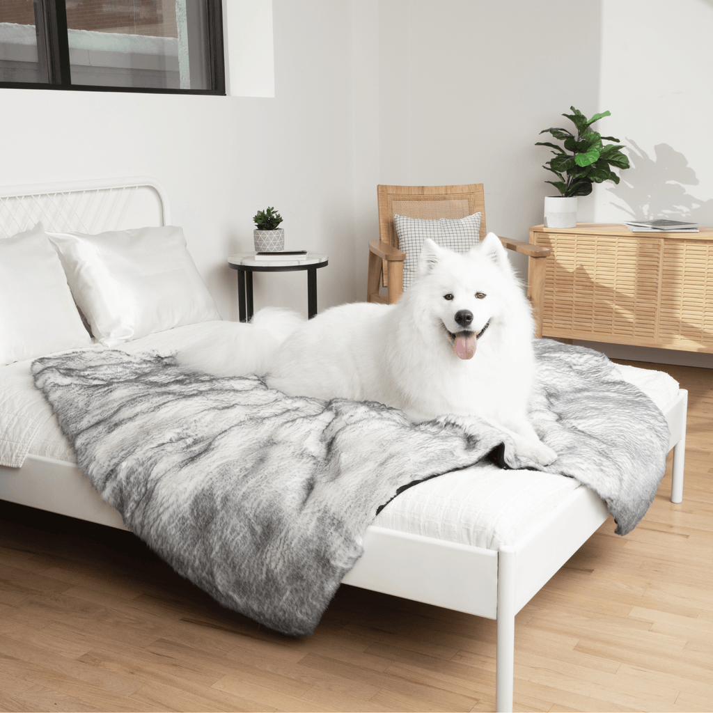 PupProtector™ Luxe Waterproof Faux Fur Blanket - Ultra Plush Arctic Fox by Paw.com