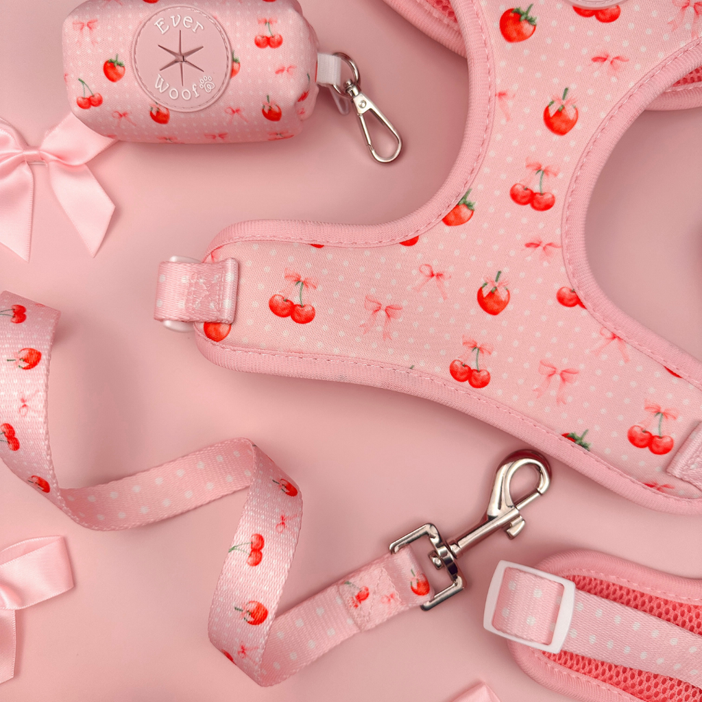 Sweet Chérie Leash by EverWoof