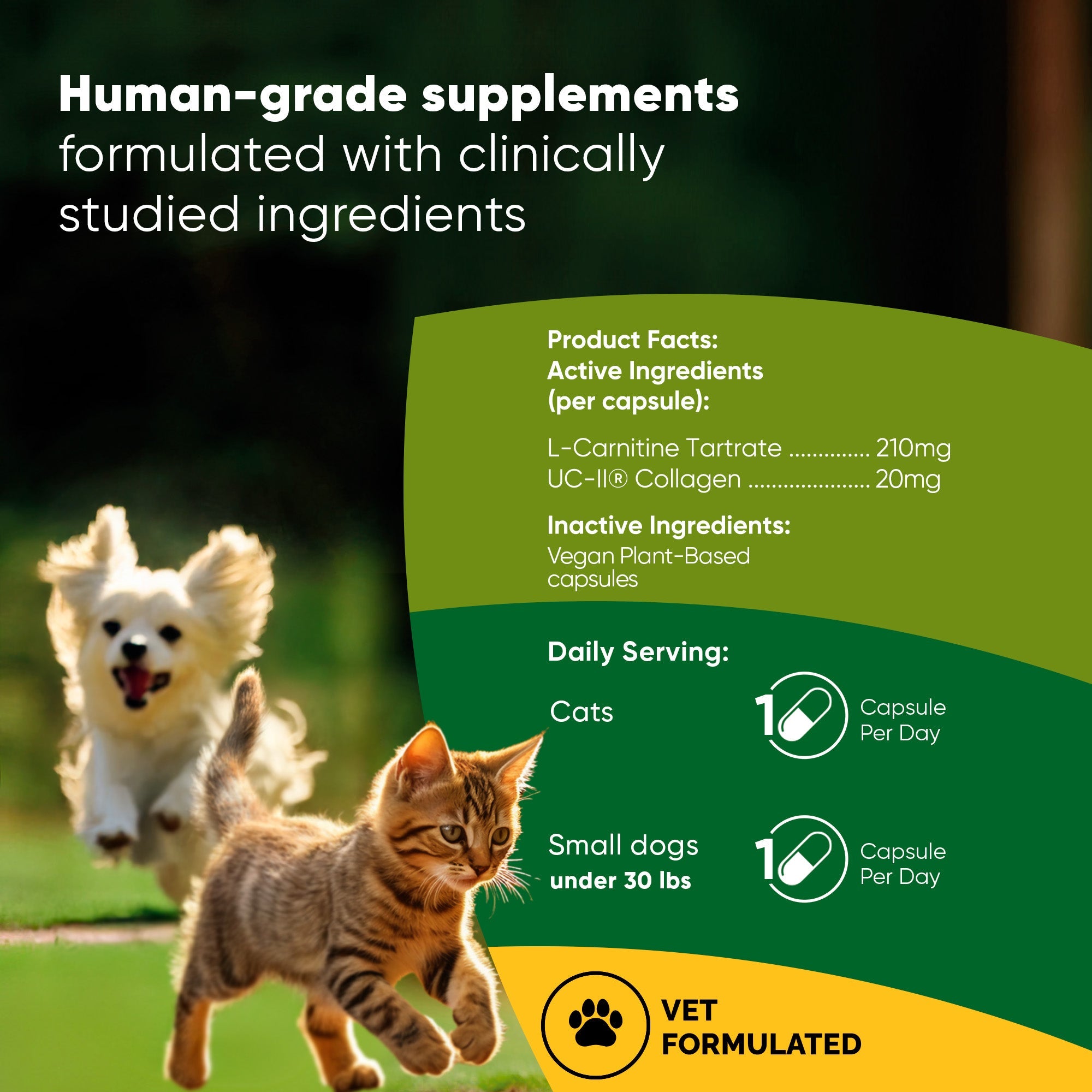 Joint & Muscle Health (Cats & Small Dogs) by Rooted Owl Pet Supplements
