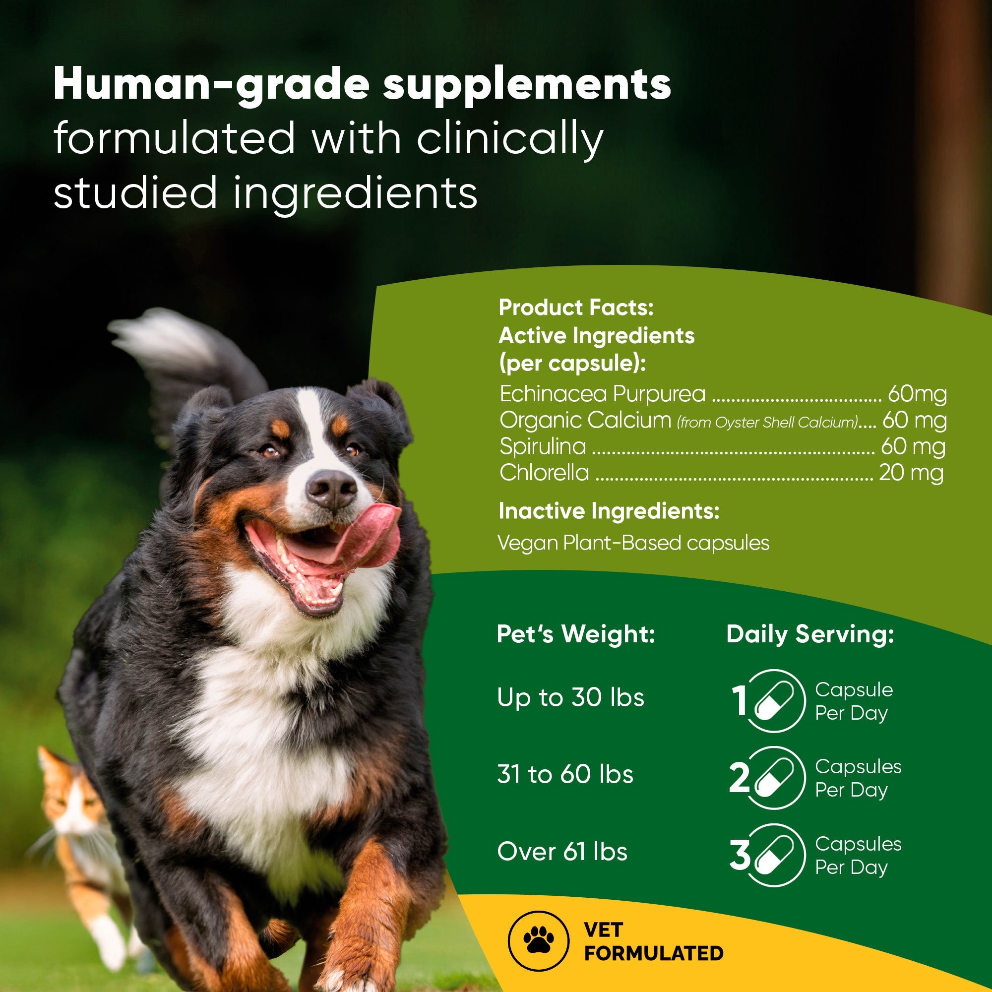 Natural Immunity by Rooted Owl Pet Supplements