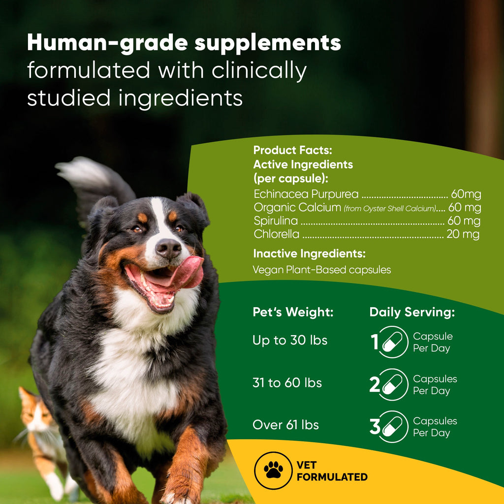 Spirulina & Chlorella by Rooted Owl Pet Supplements