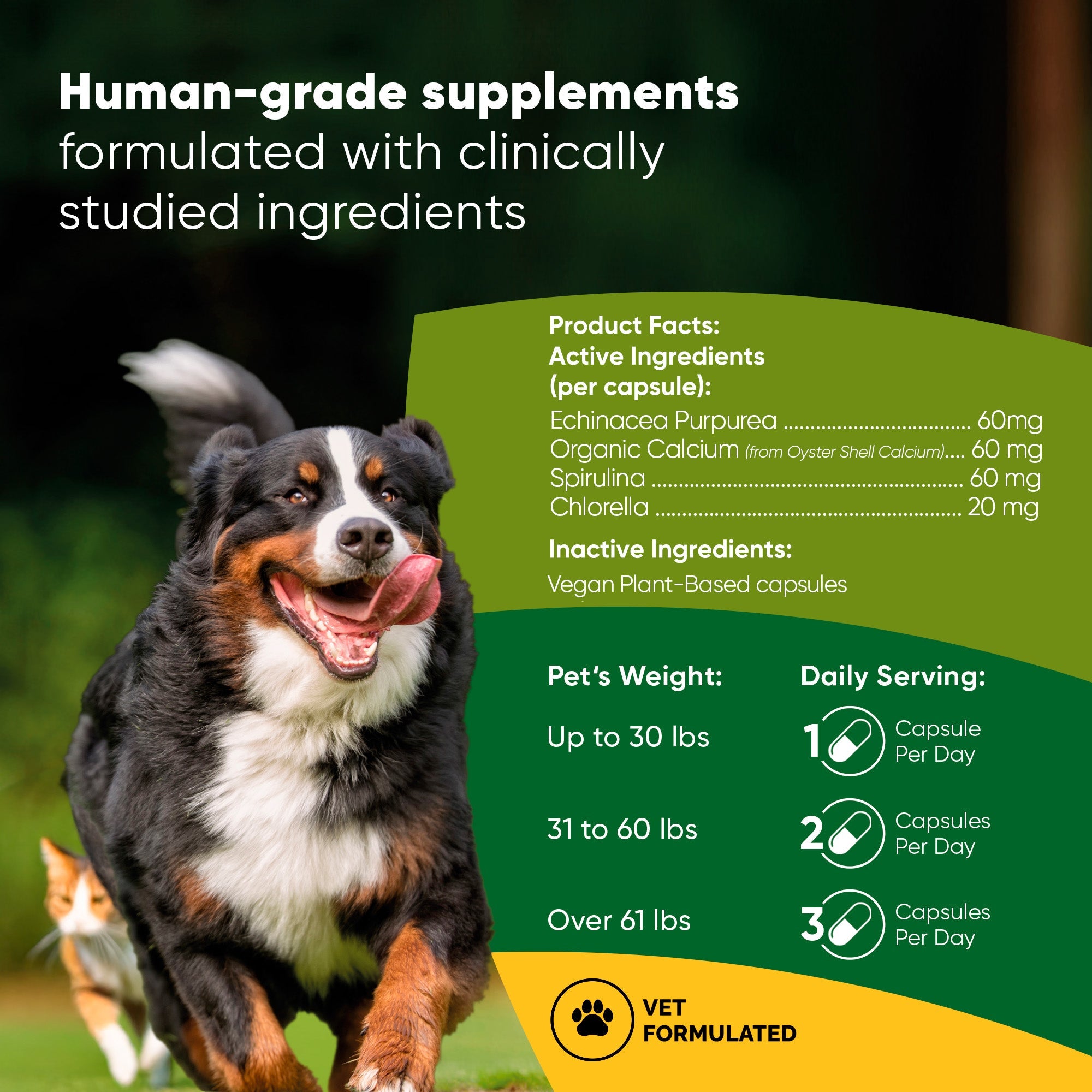 Spirulina & Chlorella by Rooted Owl Pet Supplements