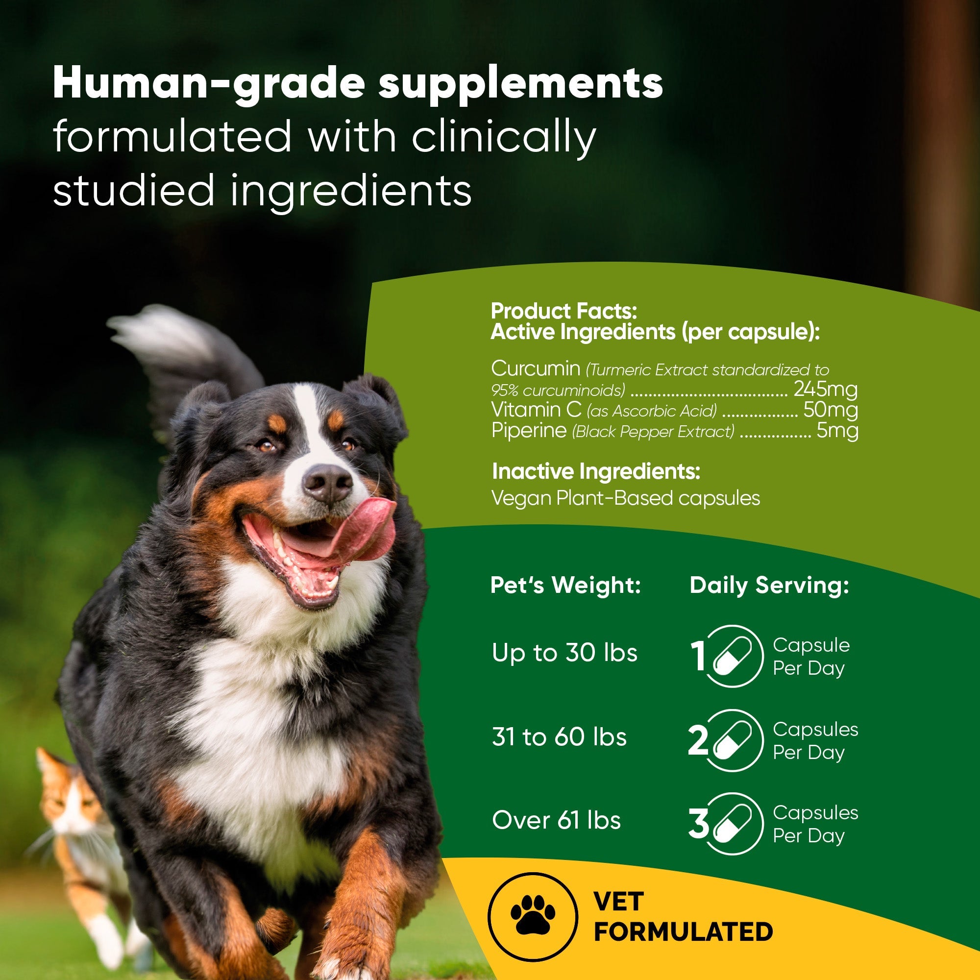 Turmeric by Rooted Owl Pet Supplements