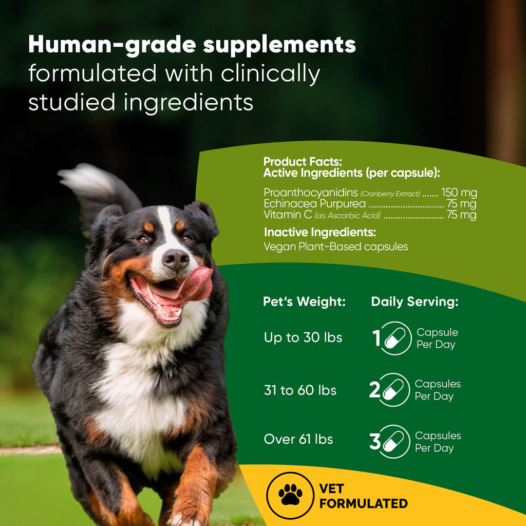 Urinary Support by Rooted Owl Pet Supplements