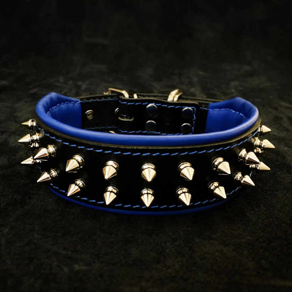 "Frenchie" collar by Bestia Dog Gear