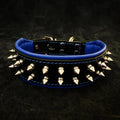 "Frenchie" collar by Bestia Dog Gear