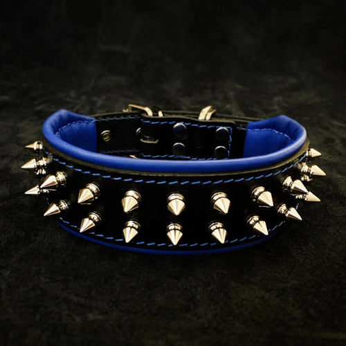 "Frenchie" collar by Bestia Dog Gear