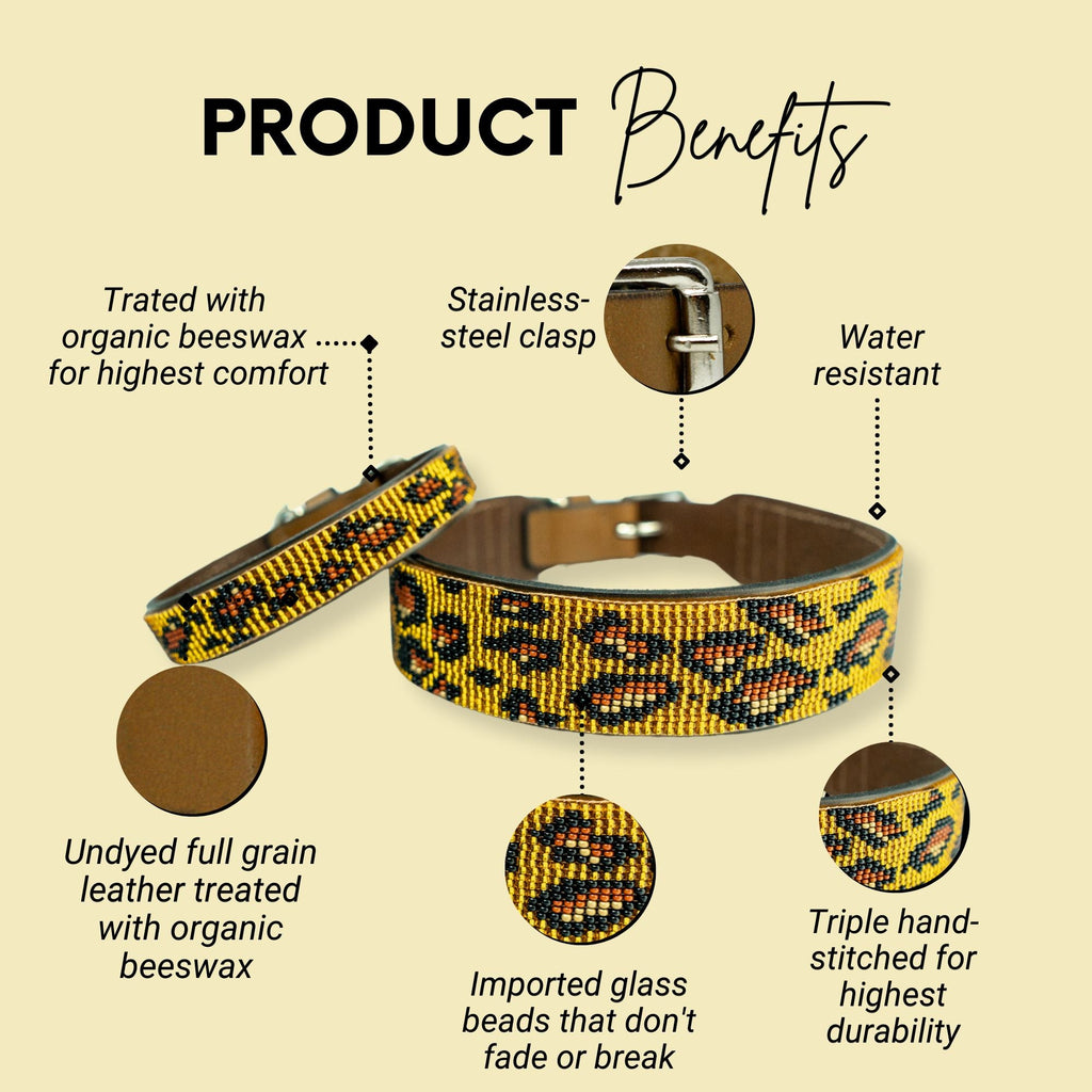 Cheetah Sambboho dog collar (animal print collection) by Sambboho