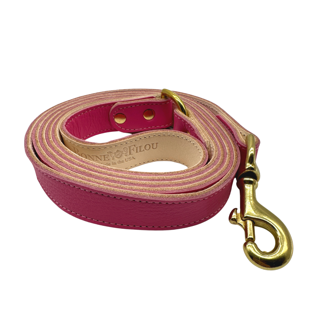 Plain Leather Dog Leashes by Bonne et Filou