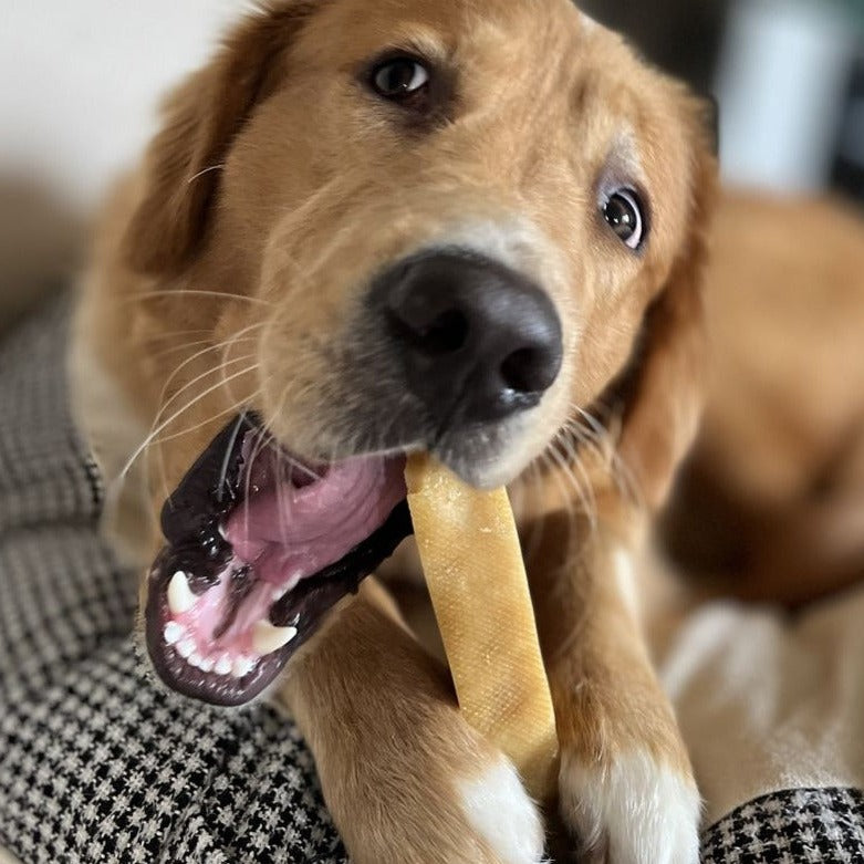 Himalayan Yak Chew (EXTRA LARGE) by Bully Bunches