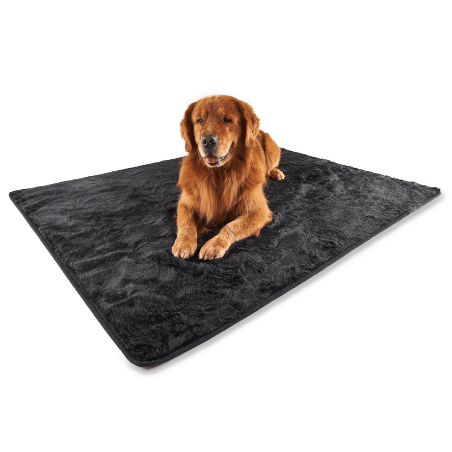 PupProtector™ Summer Short Fur Waterproof Throw Blanket - Midnight Black by Paw.com