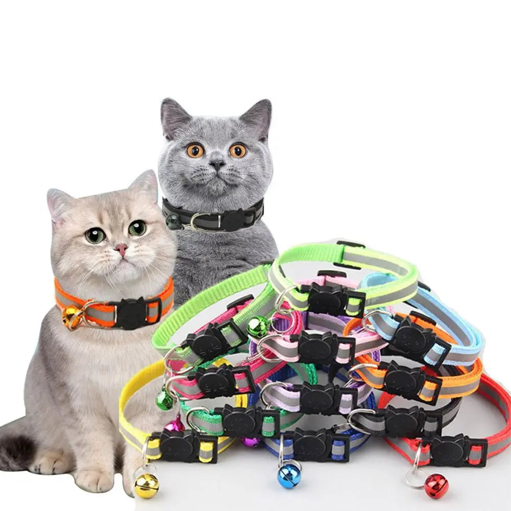 Elastic Colorful Pets Collar by Love My Pet