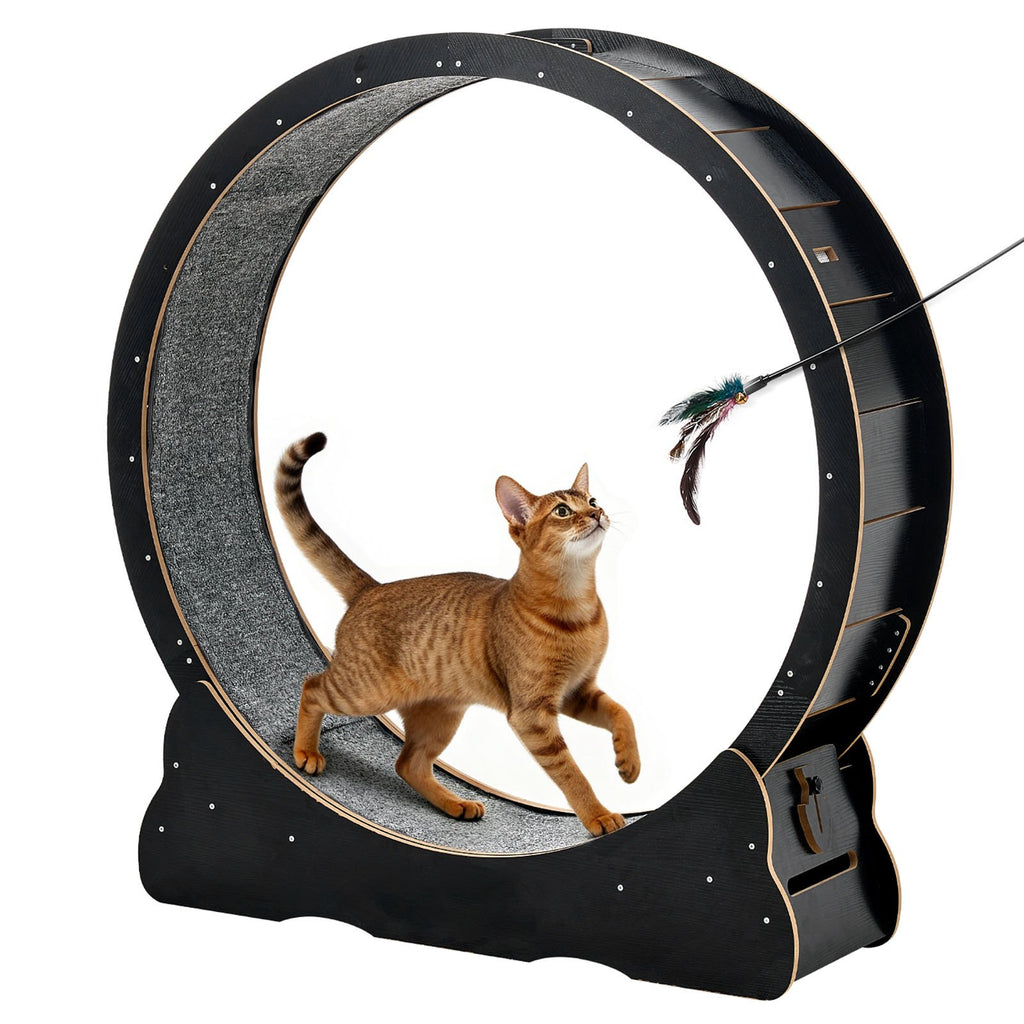 Cat Exercise Wheel, 48 In Wooden Cat Running Wheel For Indoor Cats Up To 28 Lbs, Black by VetsPetStore