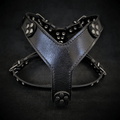 The ''Style'' harness Black Small to Medium Size by Bestia Dog Gear