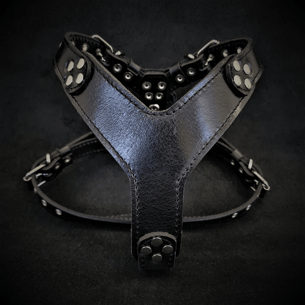 The ''Style'' harness Black Small to Medium Size by Bestia Dog Gear
