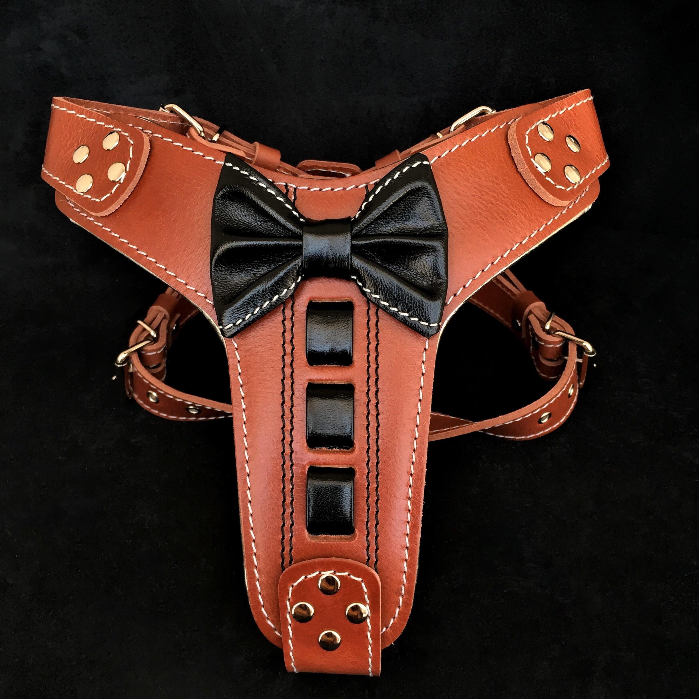 Bestia ''Bowtie'' leather harness by Bestia Dog Gear