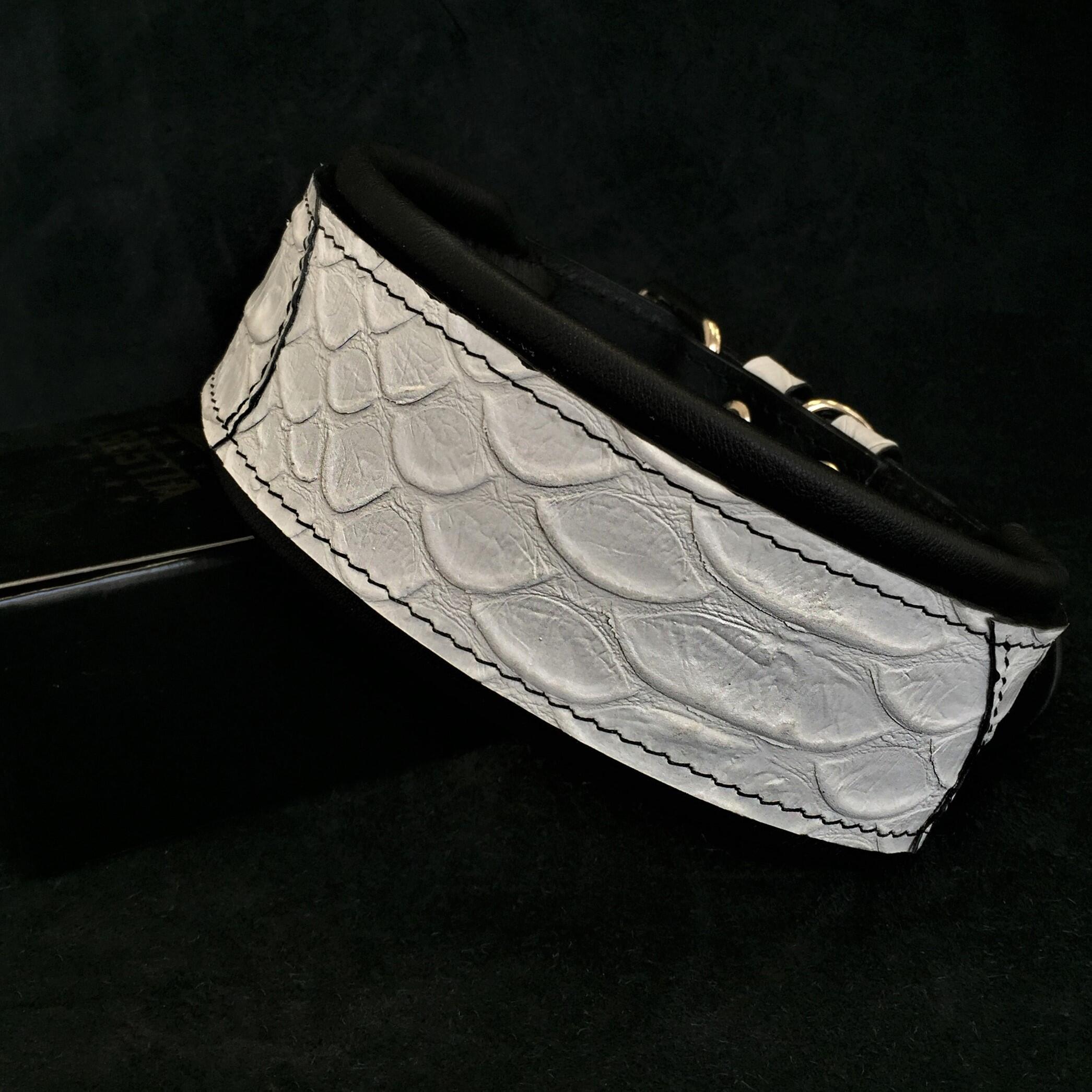 The ''Dragon Scale'' LIMITED collar exclusive design by Bestia Dog Gear