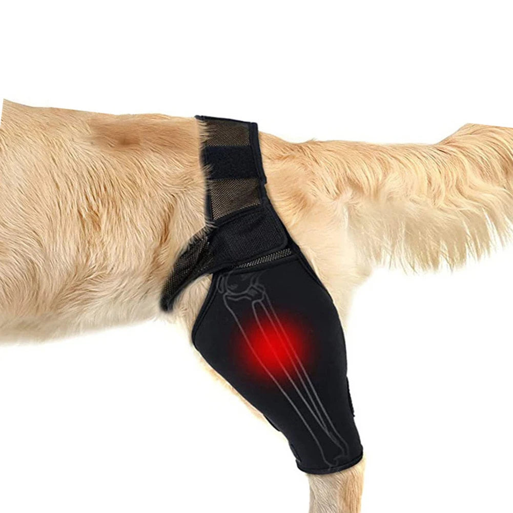 Universal Hip And Knee Brace And Protector For Dogs by Love My Pet