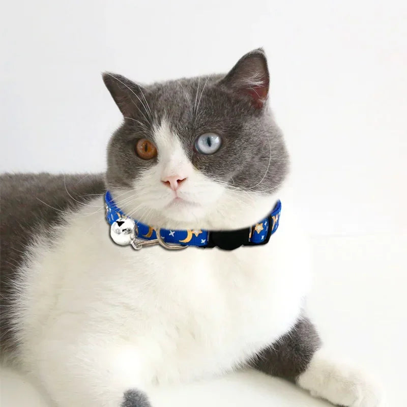 Pet collars with Different Fun Designs by Love My Pet