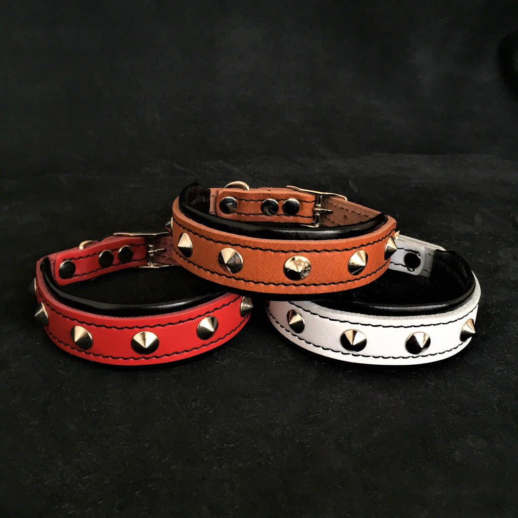The "Superstar" puppy dog collar by Bestia Dog Gear