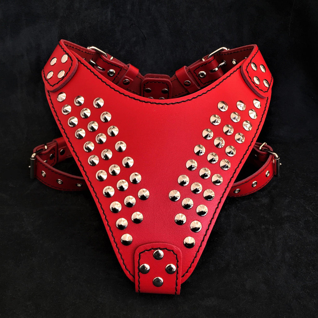 "Star" harness by Bestia Dog Gear