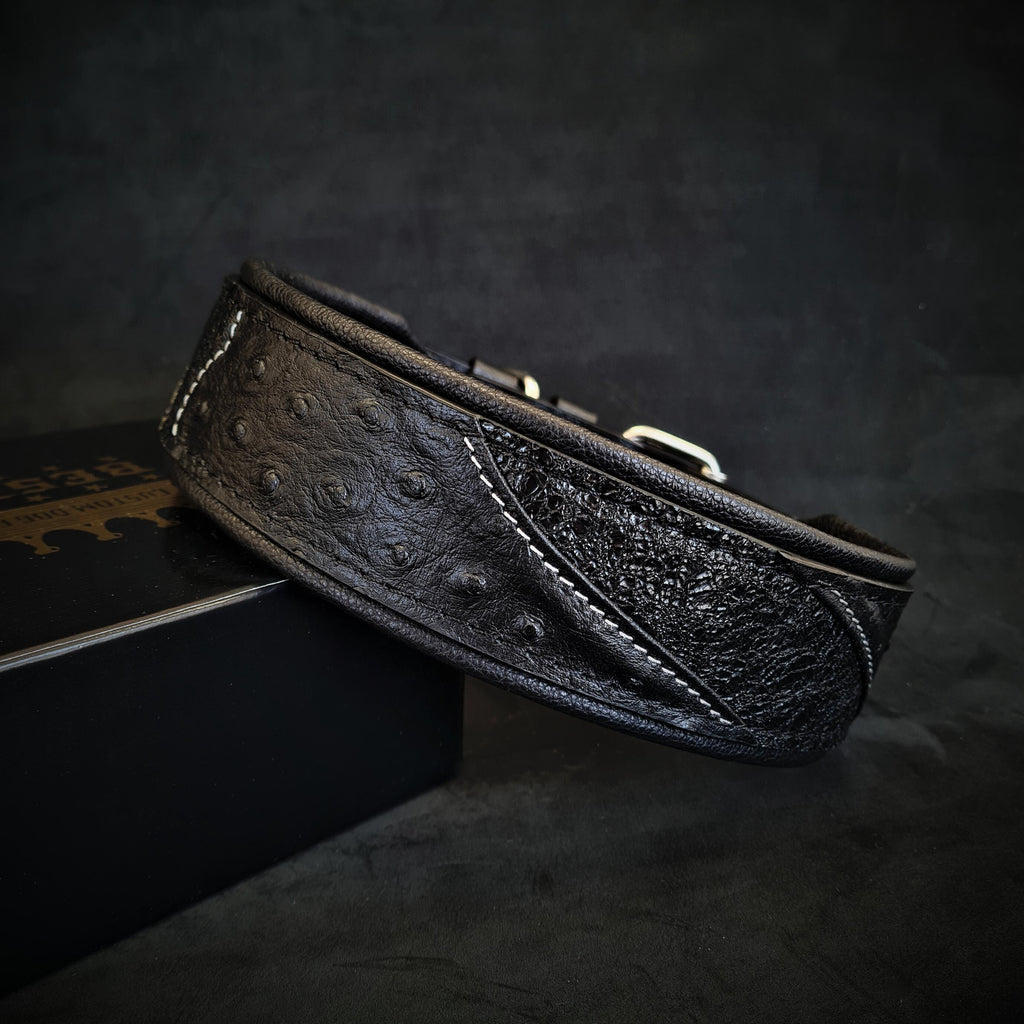 The "Korona" collar BLACK EDITION by Bestia Dog Gear