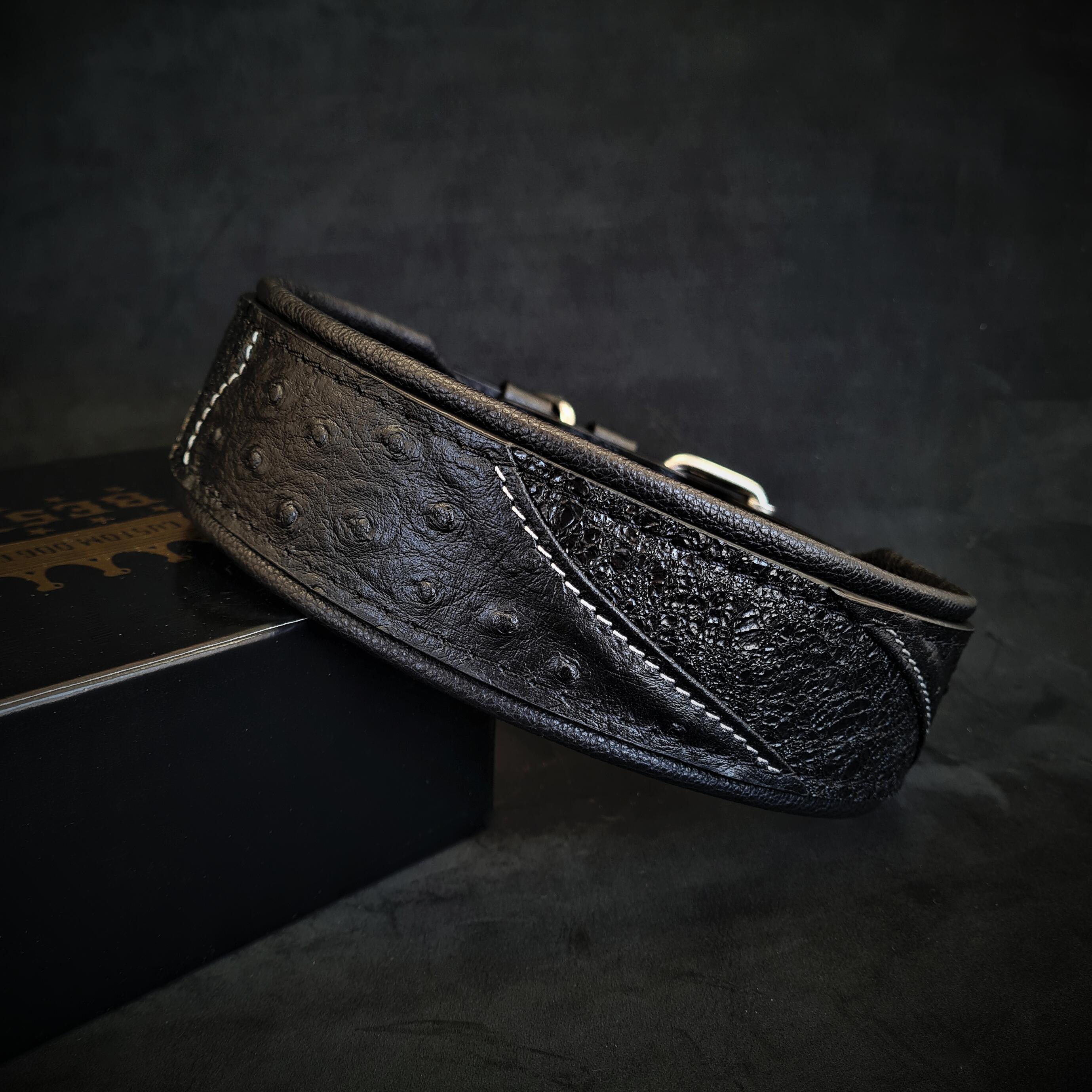 The "Korona" collar BLACK EDITION by Bestia Dog Gear