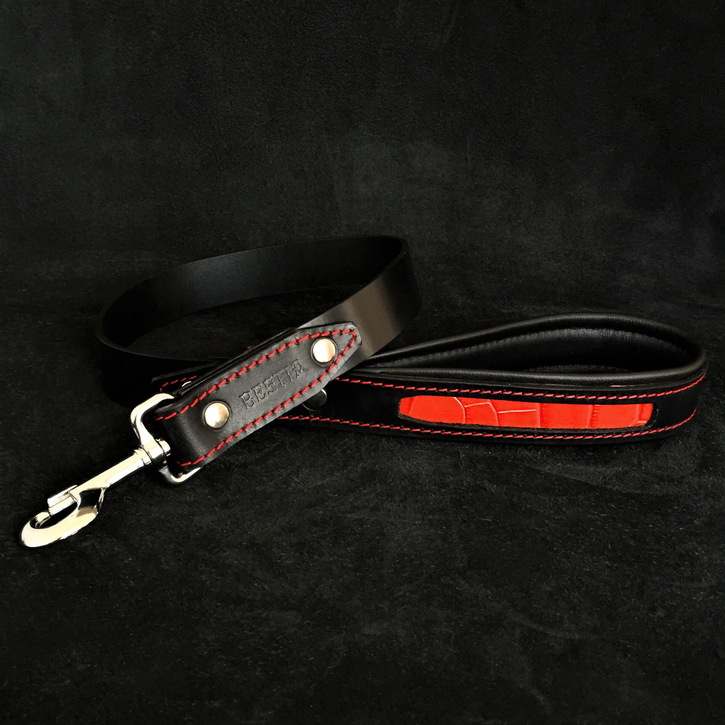 The "Reptile" leash by Bestia Dog Gear