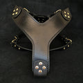 The ''Style'' harness Black by Bestia Dog Gear