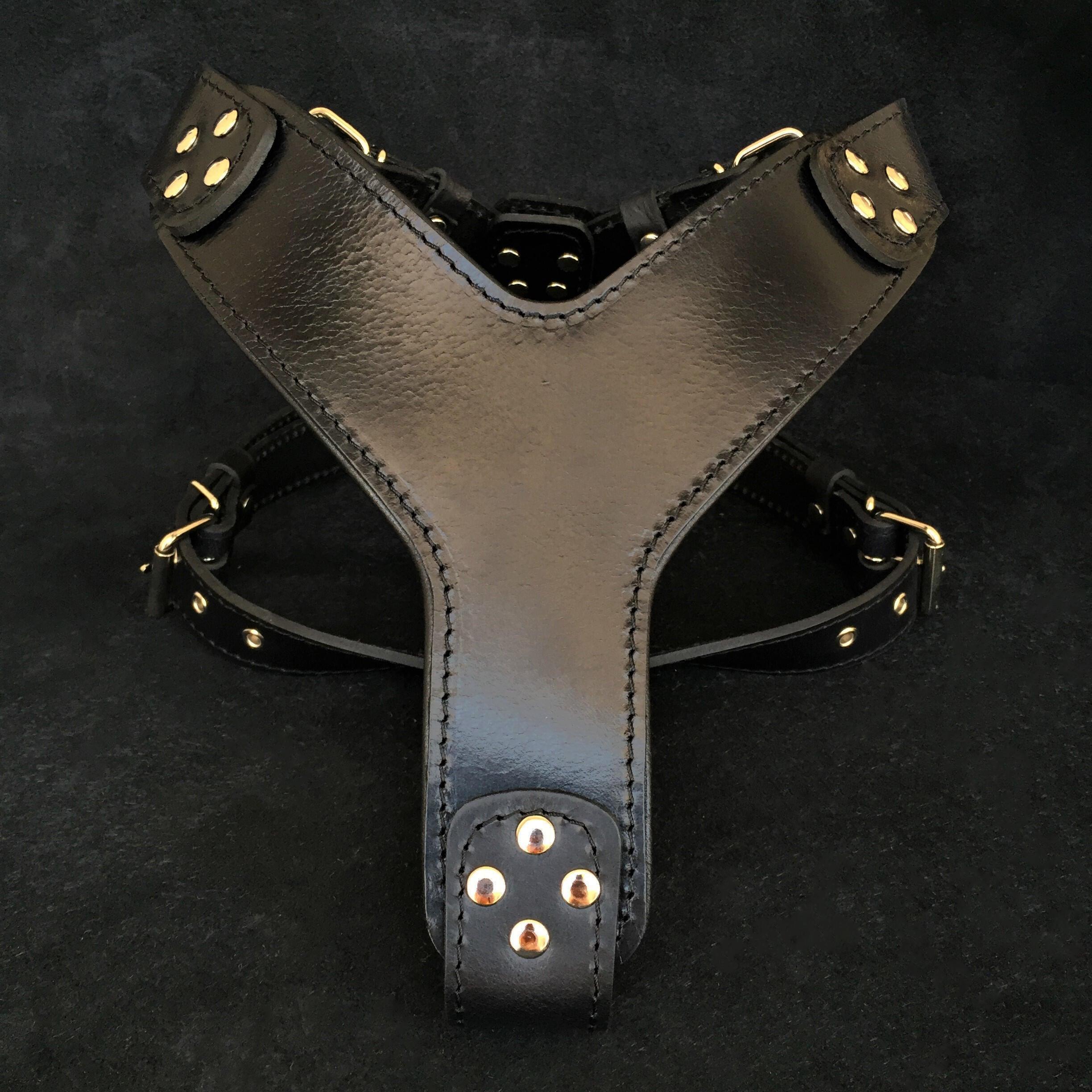 The ''Style'' harness Black by Bestia Dog Gear
