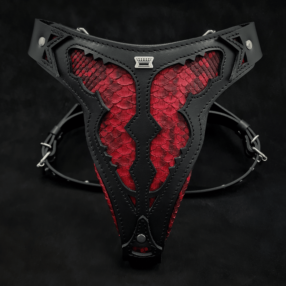 The ''Red Dragon'' harness by Bestia Dog Gear