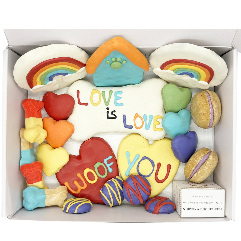 Pride Themed Dog Treats Gift Box by Bonne et Filou