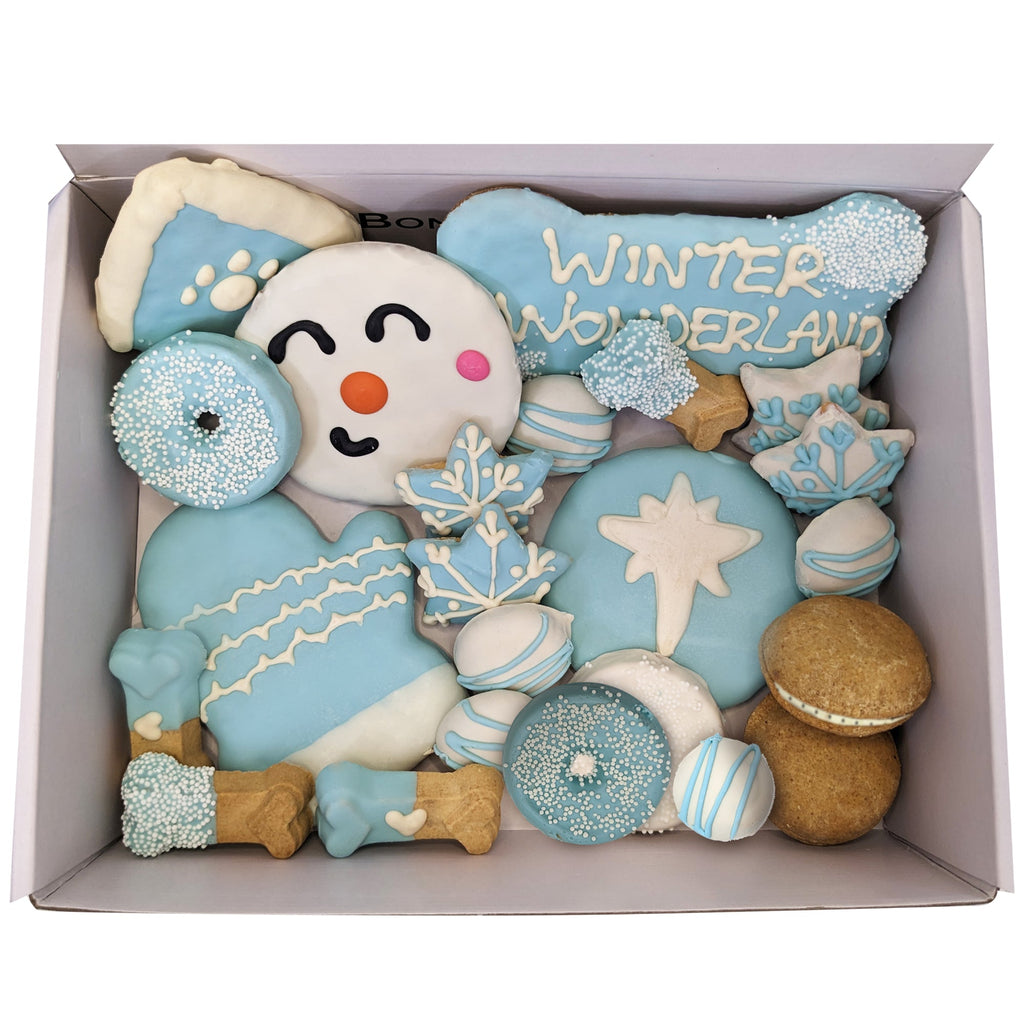 Winter Themed Dog Treats Gift Box by Bonne et Filou