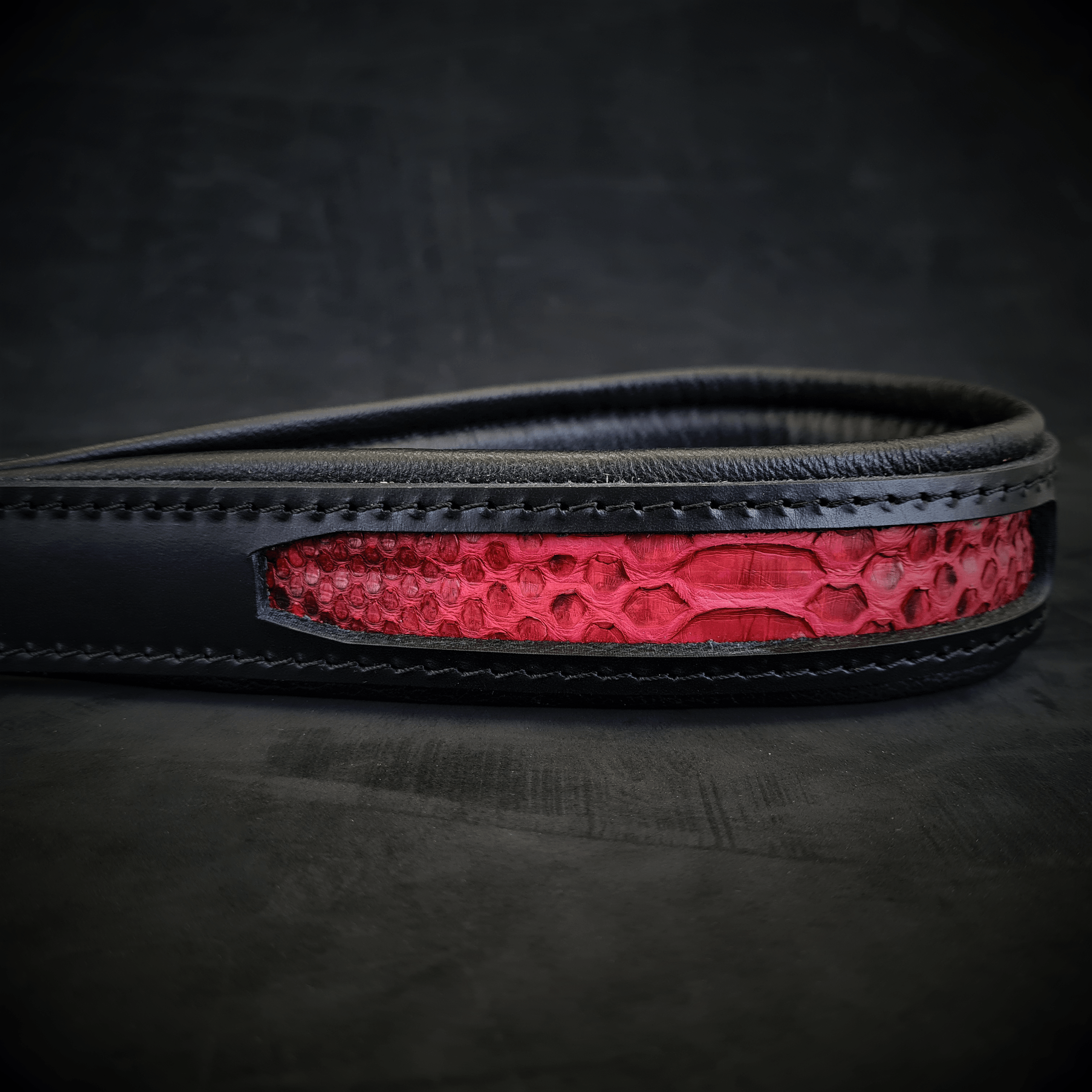 The ''Red Dragon'' leash by Bestia Dog Gear