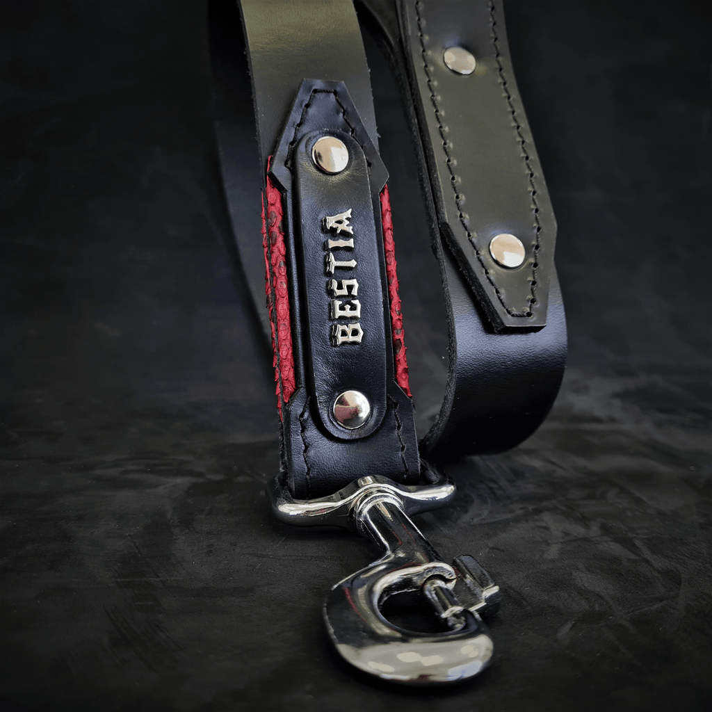 The ''Red Dragon'' leash by Bestia Dog Gear