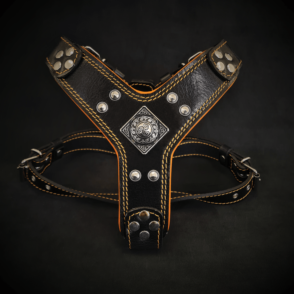 The ''Eros'' harness Black & Orange Small to Medium Size by Bestia Dog Gear
