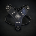 The ''Eros'' harness black Medium Size by Bestia Dog Gear