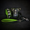 The ''Bijou'' SET - Collar, Harness, Leash. Green by Bestia Dog Gear