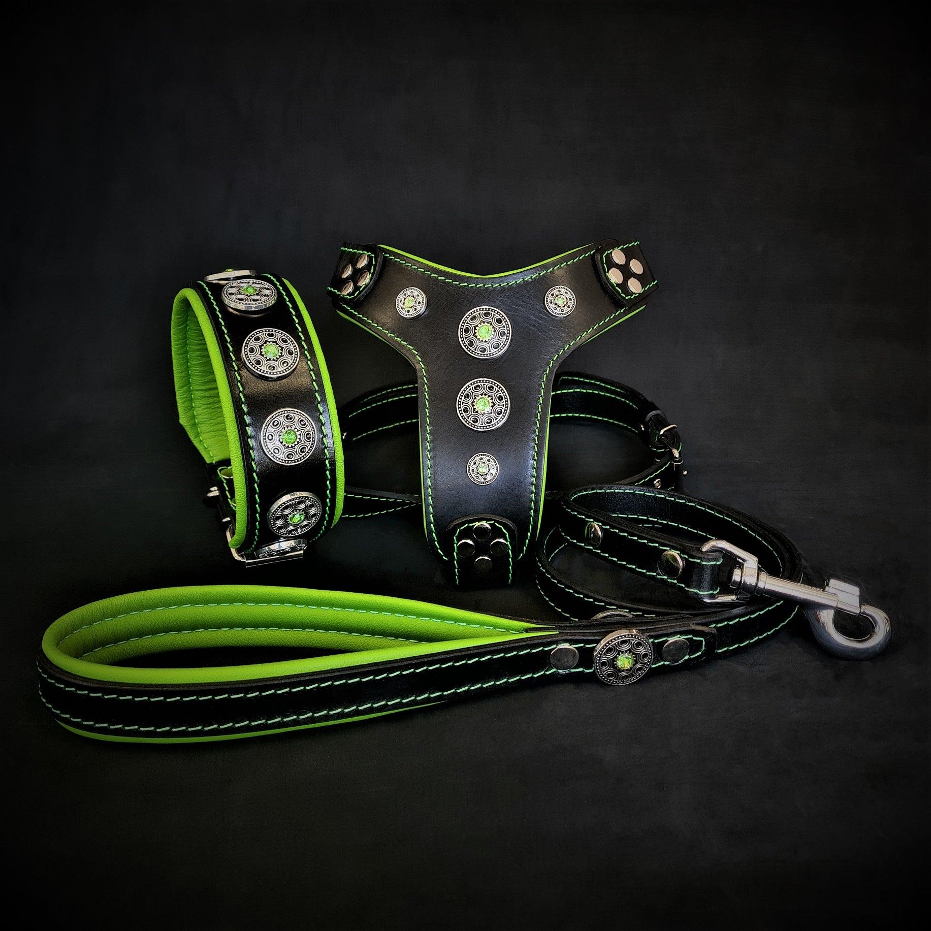 The ''Bijou'' SET - Collar, Harness, Leash. Green by Bestia Dog Gear