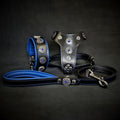 The ''Bijou'' SET - Collar, Harness, Leash. Blue by Bestia Dog Gear