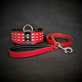 The "Star" Set- collar & leash by Bestia Dog Gear
