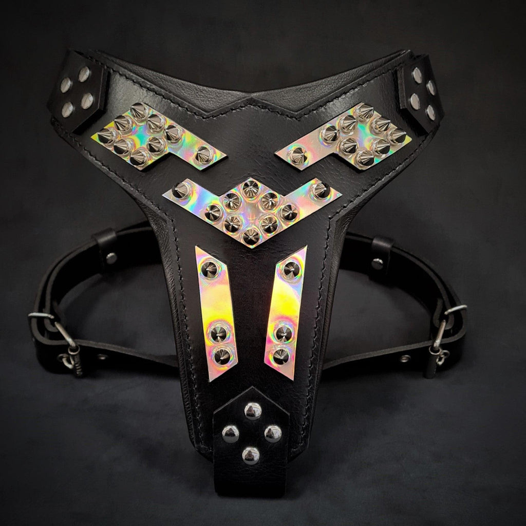 The ''Midas'' leather dog harness silver by Bestia Dog Gear