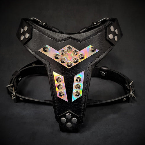 ''Midas'' leather dog harness silver medium size by Bestia Dog Gear